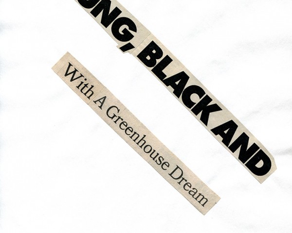 Missing Persons (Part 13 of 13), Cutting Out the New York Times, newspaper poems by Lorraine O’Grady.