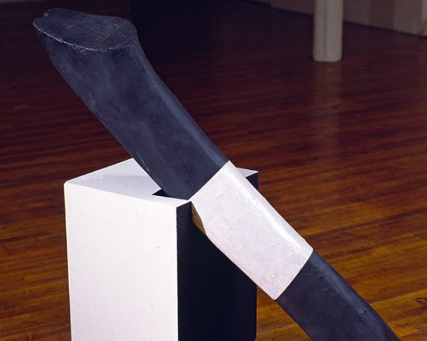 The Black and White Show, artwork of artist Tyrone Mitchell.