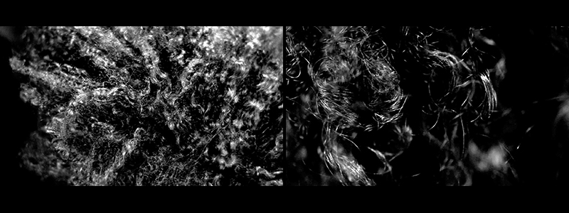 Landscape (Western Hemisphere)