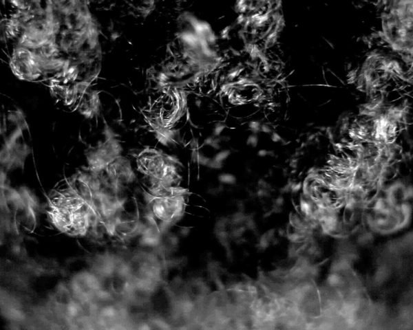 Landscape (Western Hemisphere), 2010-2012 video still by conceptual artist Lorraine O’Grady.