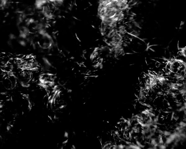 Landscape (Western Hemisphere), 2010-2012 video still by conceptual artist Lorraine O’Grady.