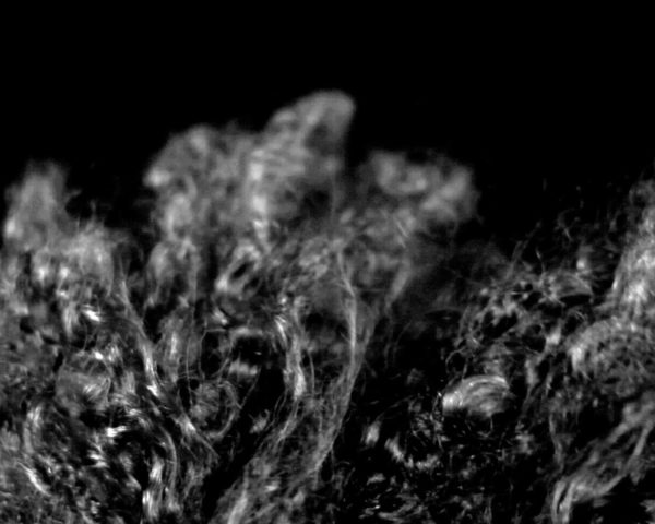 Landscape (Western Hemisphere), 2010-2012 video still by conceptual artist Lorraine O’Grady.