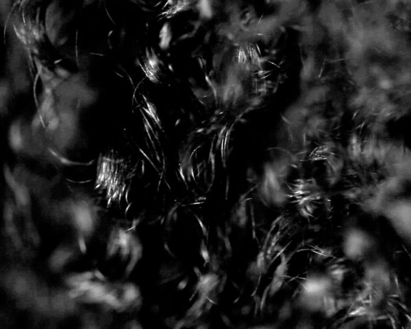 Landscape (Western Hemisphere), 2010-2012 video still by conceptual artist Lorraine O’Grady.