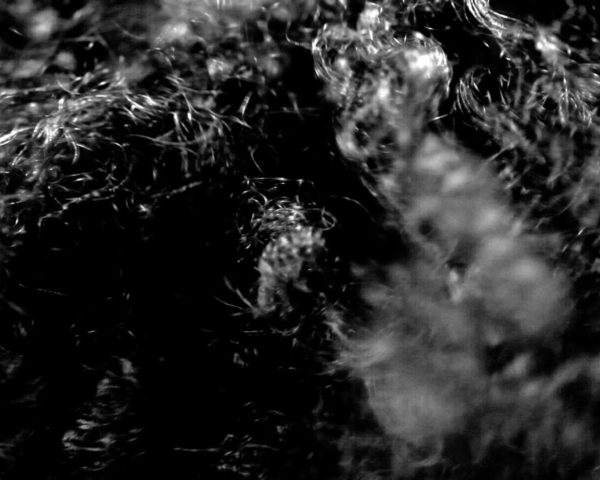 Landscape (Western Hemisphere), 2010-2012 video still by conceptual artist Lorraine O’Grady.