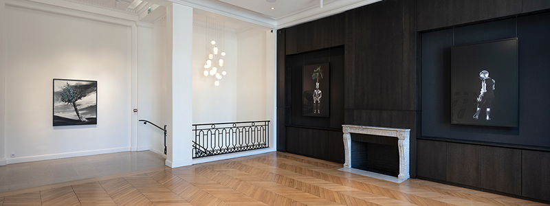 Mariane Ibrahim, 2025